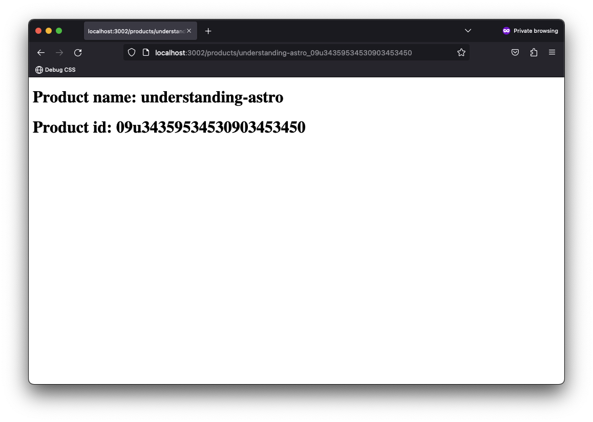 Matching multiple route named parameters.